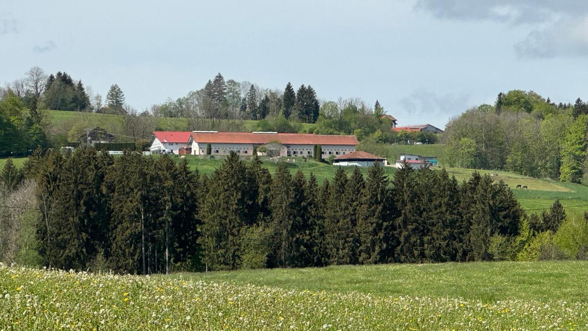 Gut Buchenhof Appartement Buchenberg  Buitenkant foto