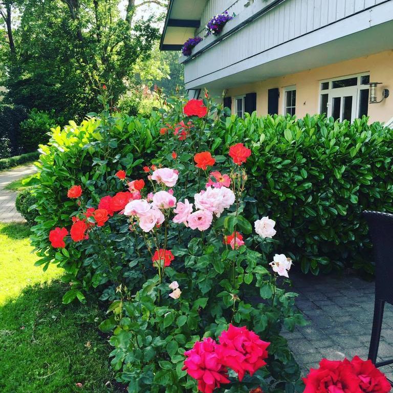 Gut Buchenhof Appartement Buchenberg  Buitenkant foto